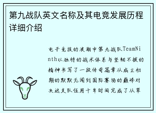 第九战队英文名称及其电竞发展历程详细介绍