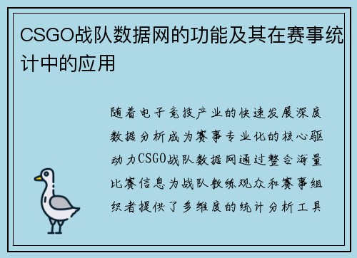 CSGO战队数据网的功能及其在赛事统计中的应用