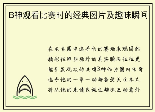 B神观看比赛时的经典图片及趣味瞬间